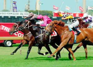 Image post by @australianturfclub on Instagram