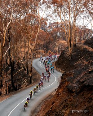 Image post by @gettyimages on Instagram