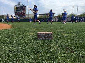 Image post by @gatorssb on Instagram