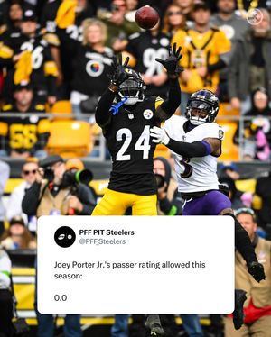 Image post by @steelers on Instagram