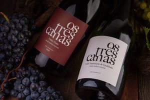 Image post by @os3canas on Instagram