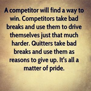 Image post by @gobearcatslax on Instagram