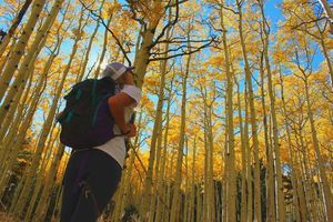 Image post by @nauflagstaff on Instagram