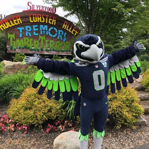 Image post by @blitztheseahawk on Instagram
