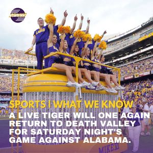 Image post by @lsutigertv on Instagram