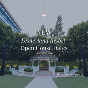 Image post by @disneyweddings on Instagram