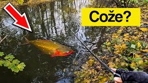 Video post by @jonasederfishing on YouTube