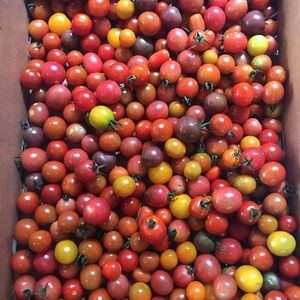 Image post by @forage_kitchen on Instagram