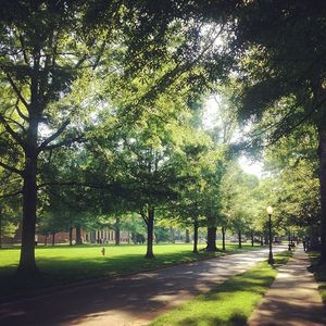 Image post by @presbyteriancollege on Instagram