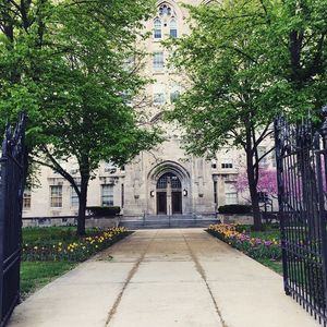 Image post by @uchicago on Instagram