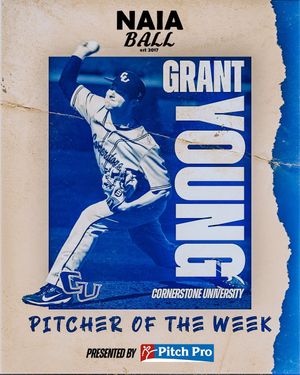 Image post by @NAIABall on Twitter