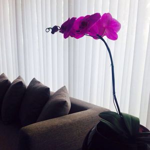 Image post by @hotelmadero on Instagram
