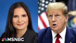 Video post by @msnbc on YouTube