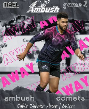 Image post by @stlouisambush on Instagram