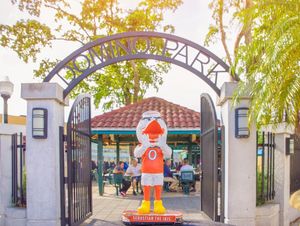 Image post by @univmiami on Instagram