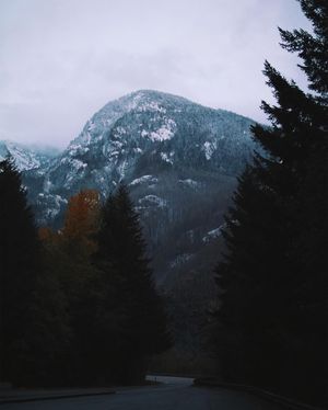 Image post by @zofeeagenota on Instagram
