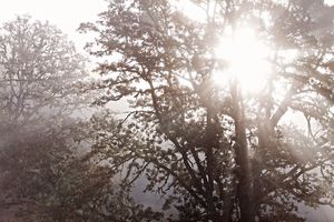 Image post by @jasonsfairchild on Instagram