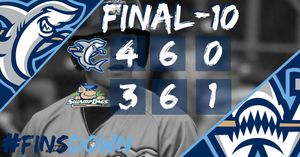 Image post by @ilmsharks on Instagram