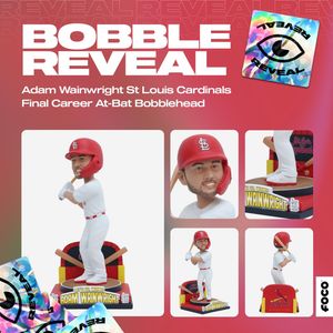 Image post by @focobobbles on Instagram