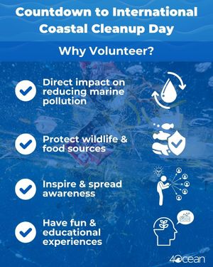 Image post by @4ocean on Instagram