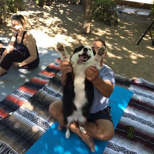 Image post by @yogapartylive on Instagram