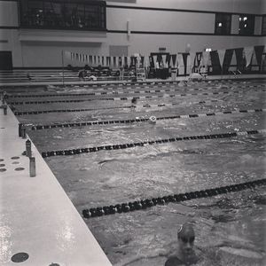 Image post by @utahswimdive on Instagram