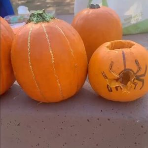 Image post by @sanjosestategym on Instagram