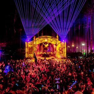 Image post by @electric_forest on Instagram