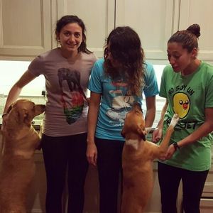 Image post by @christenpress on Instagram