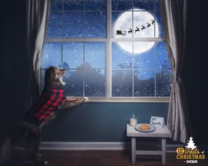 Image post by @evolvepetfood on Instagram