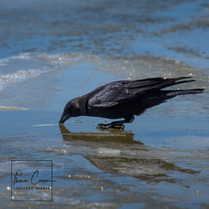 Image post by @lightboximages on Instagram