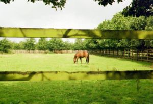 Image post by @adphotography_lab on Instagram