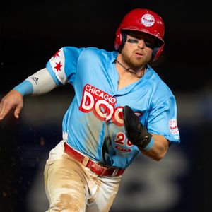Image post by @thechicagodogs on Instagram