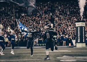 Image post by @blitztheseahawk on Instagram