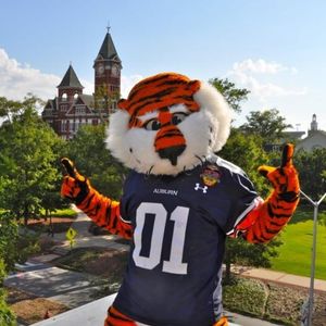 Image post by @auburnalumni on Instagram