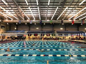 Image post by @fordhamswimdive on Instagram