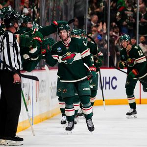 Image post by @minnesotawild on Instagram