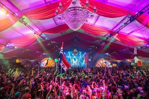 Image post by @electric_forest on Instagram