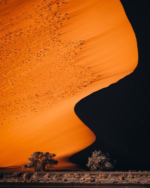 Image post by @discovery on Instagram