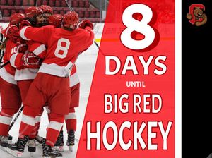Image post by @cornellwhockey on Instagram