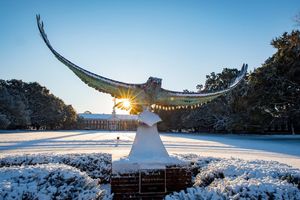 Image post by @uncw.alumni on Instagram