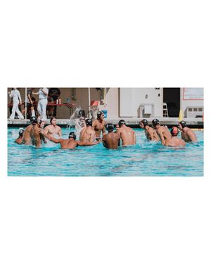 Image post by @lbccaquatics on Instagram