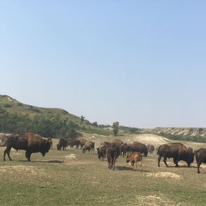 Image post by @ndsubusiness on Instagram