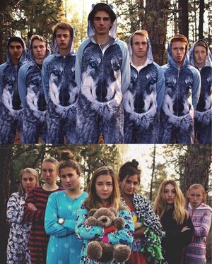 Image post by @milesplit on Instagram