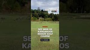 Video post by @cnn on YouTube