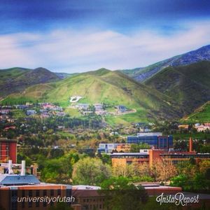Image post by @utahvolleyball on Instagram
