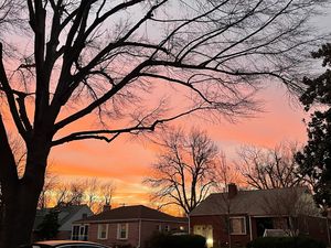 Image post by @team.deakins on Instagram