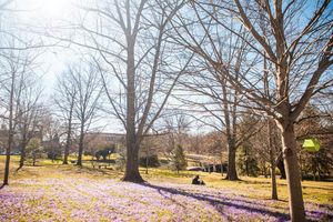 Image post by @easternkentuckyu on Instagram