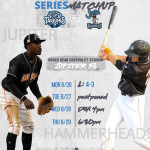 Image post by @GoHammerheads on Twitter