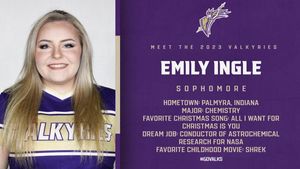 Image post by @valkyriessoftball on Instagram